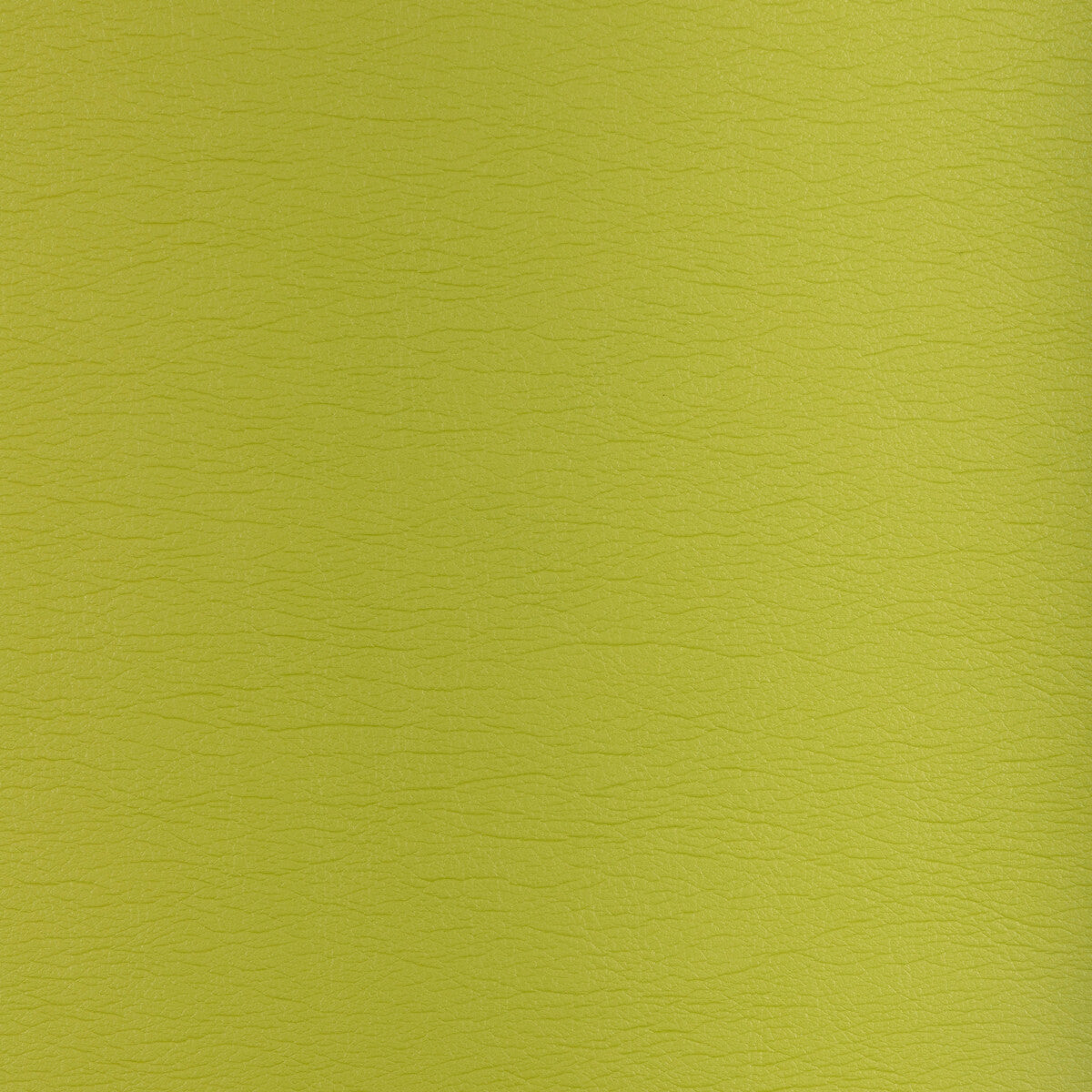 KRAVET DESIGN KRAVET DESIGN GATO-23