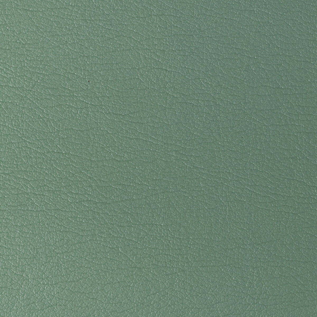 KRAVET DESIGN KRAVET DESIGN GATO-323