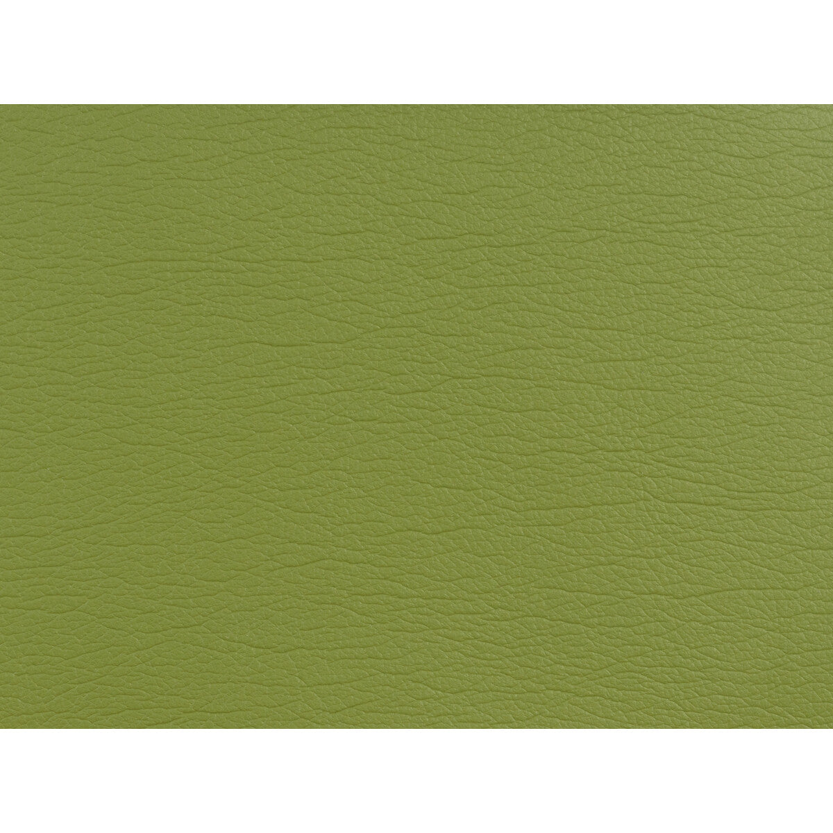 KRAVET DESIGN KRAVET DESIGN GATO-5353