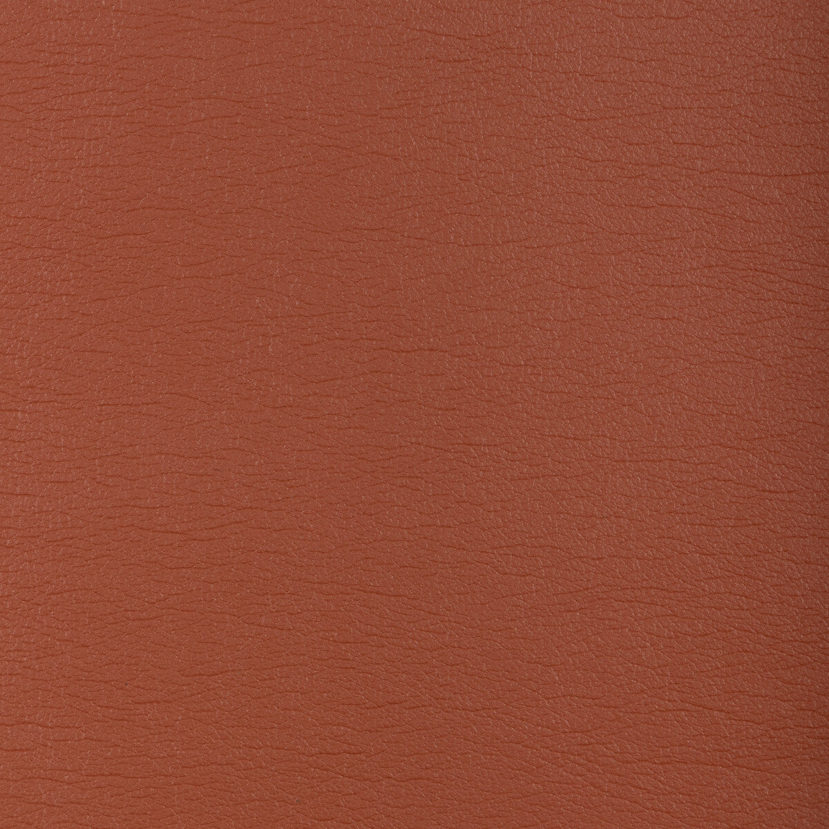 KRAVET DESIGN KRAVET DESIGN GATO-612