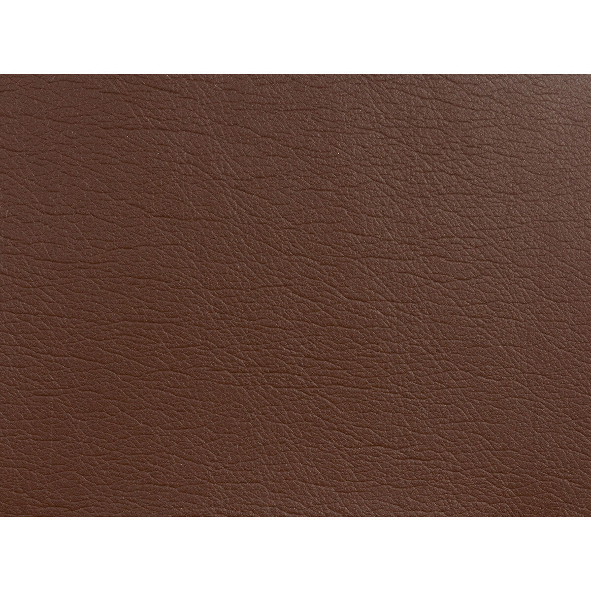 KRAVET DESIGN KRAVET DESIGN GATO-6161