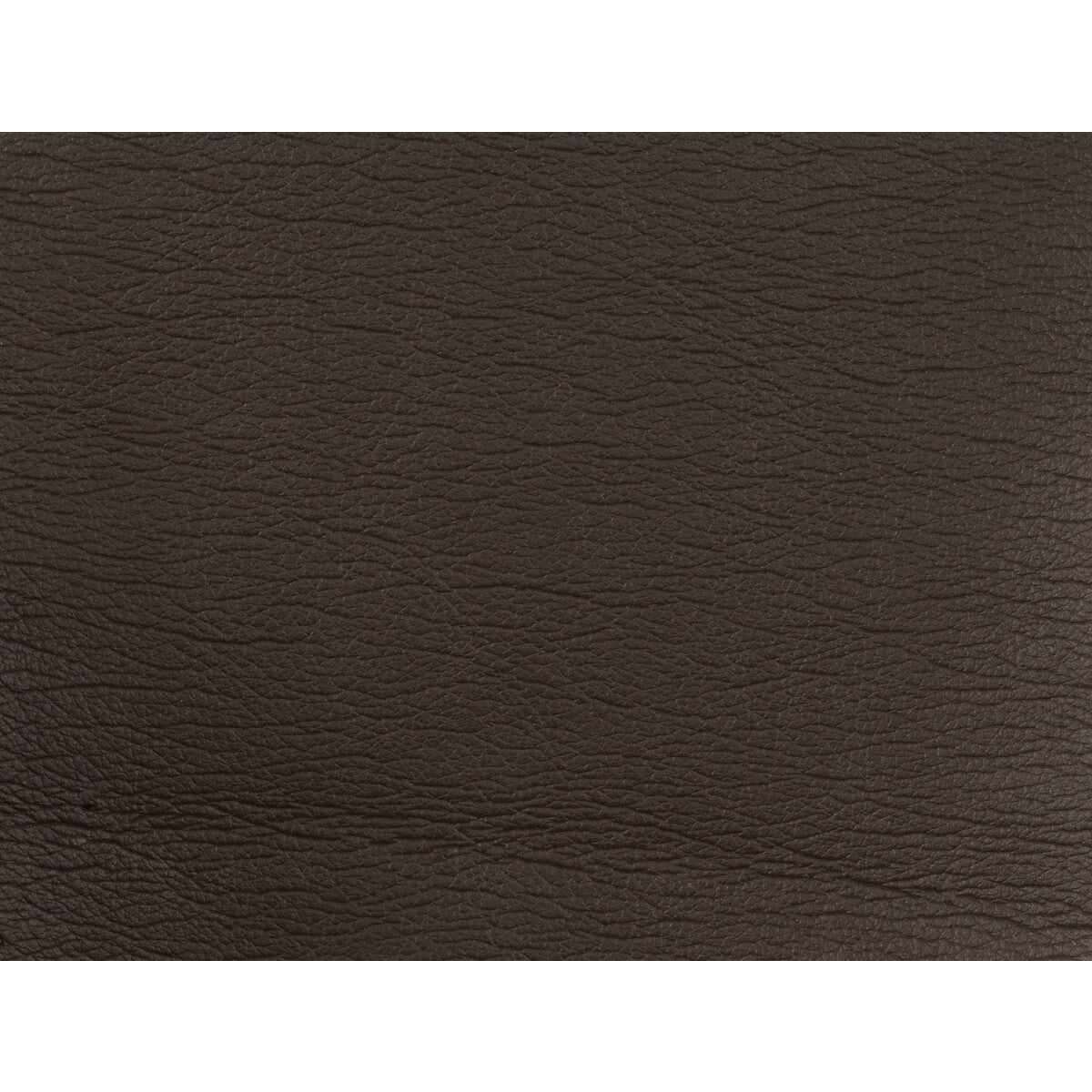 KRAVET DESIGN KRAVET DESIGN GATO-6666