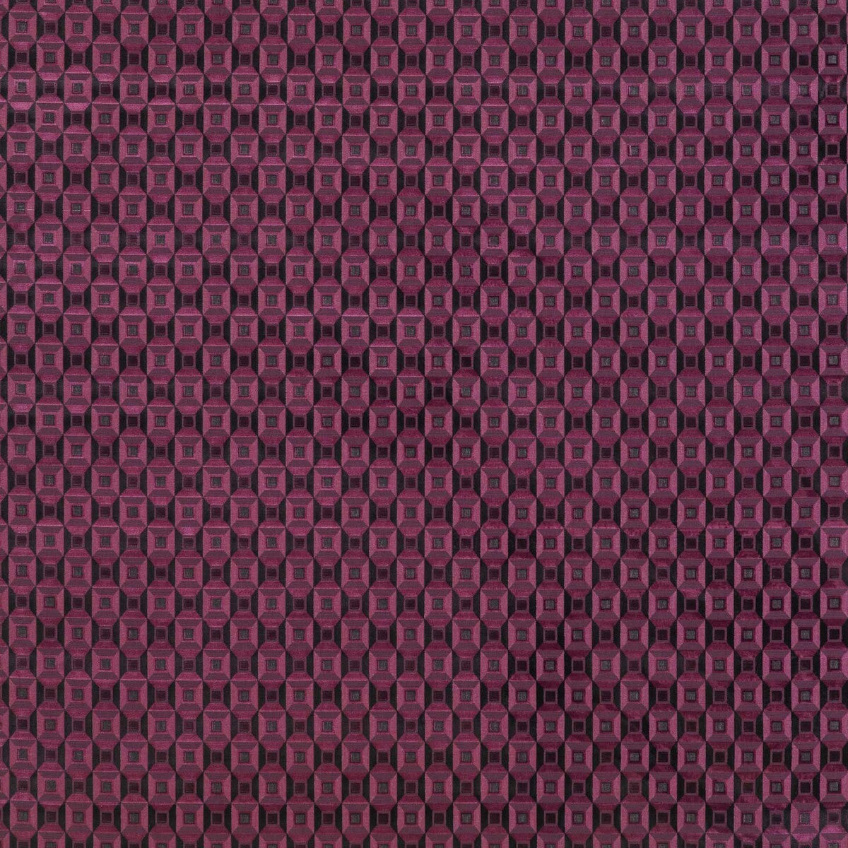 GASTON Y DANIELA LUISA BERENJENA