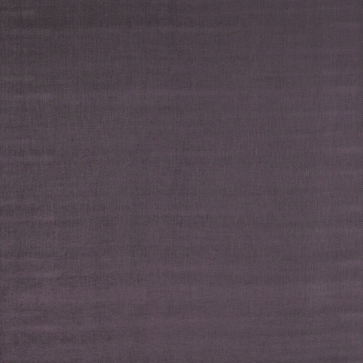 GASTON Y DANIELA ALCALA LAVANDA