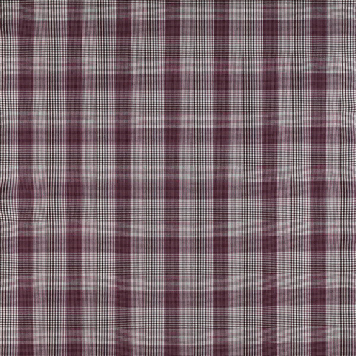 GASTON Y DANIELA PRECIADOS BERENJENA