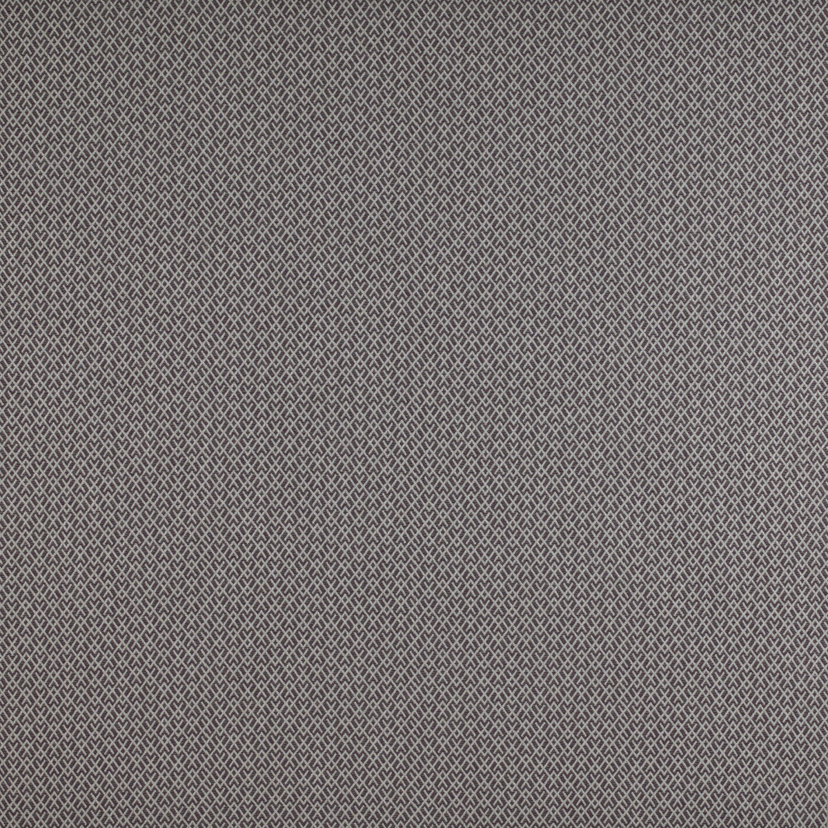 GASTON Y DANIELA CHUECA BERENJENA