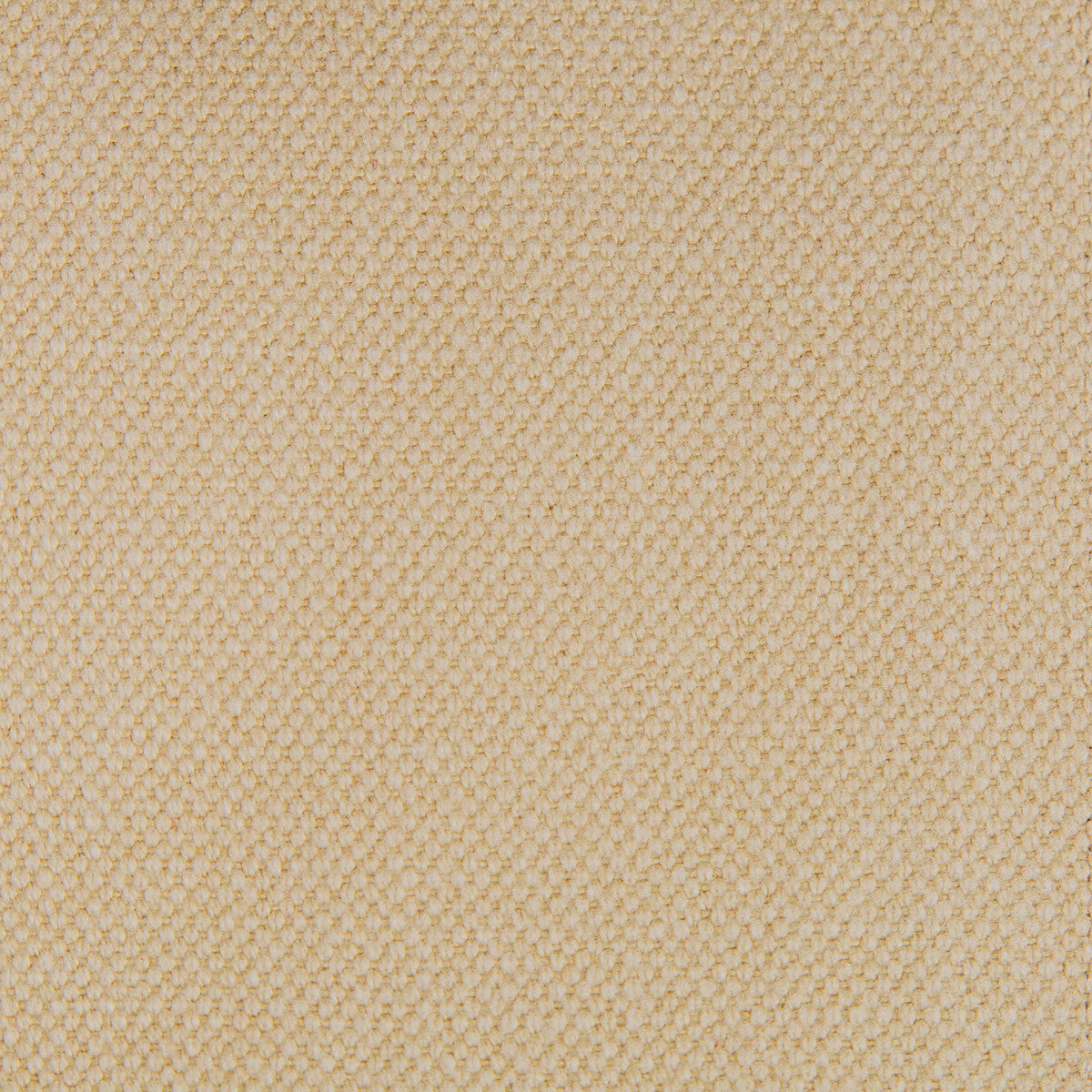 GASTON Y DANIELA LIMA BEIGE