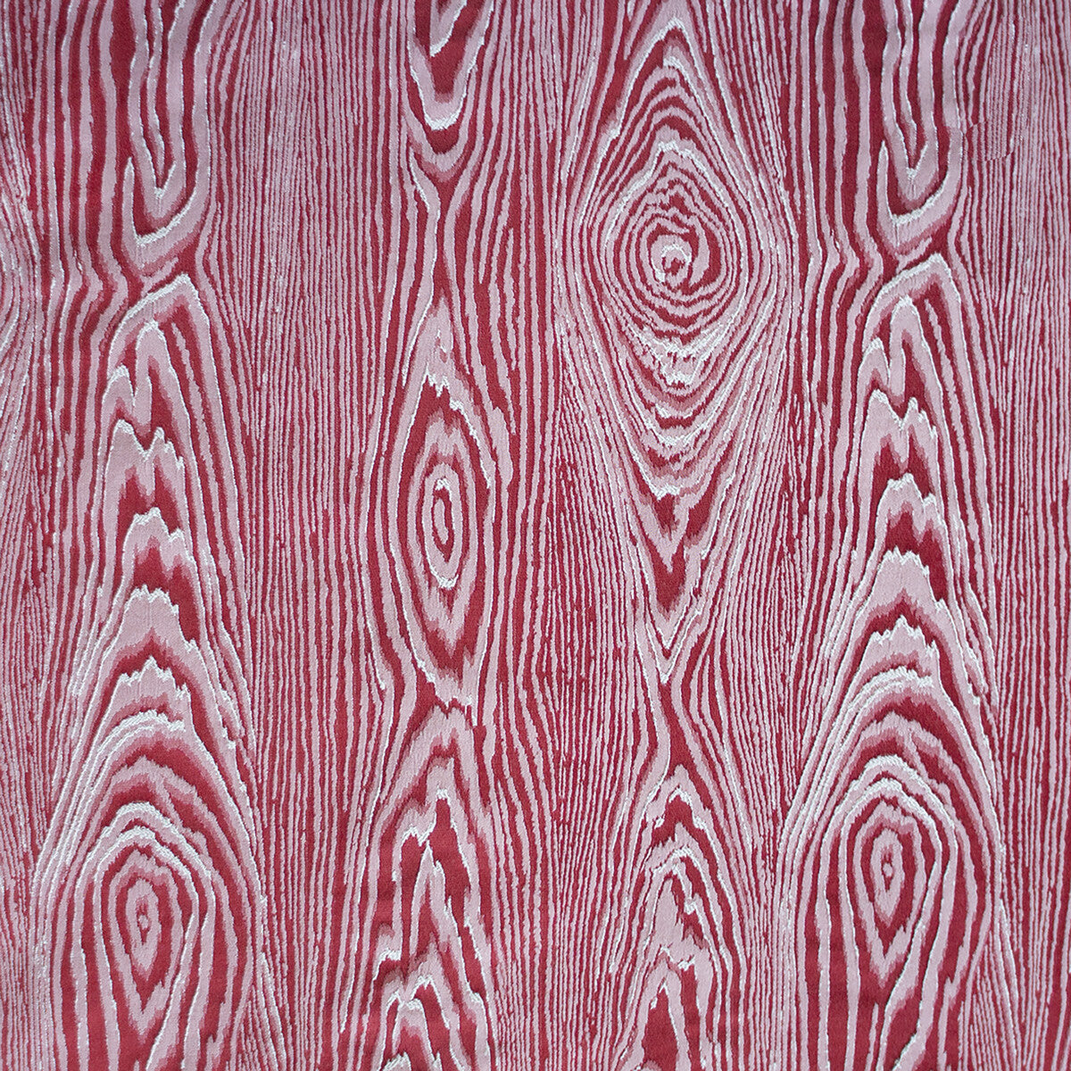 GASTON Y DANIELA HARU ROJO