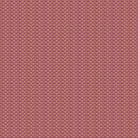 GASTON Y DANIELA ISAMU CORAL