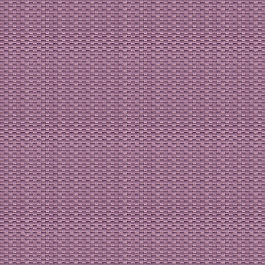 GASTON Y DANIELA ISAMU CIRUELA