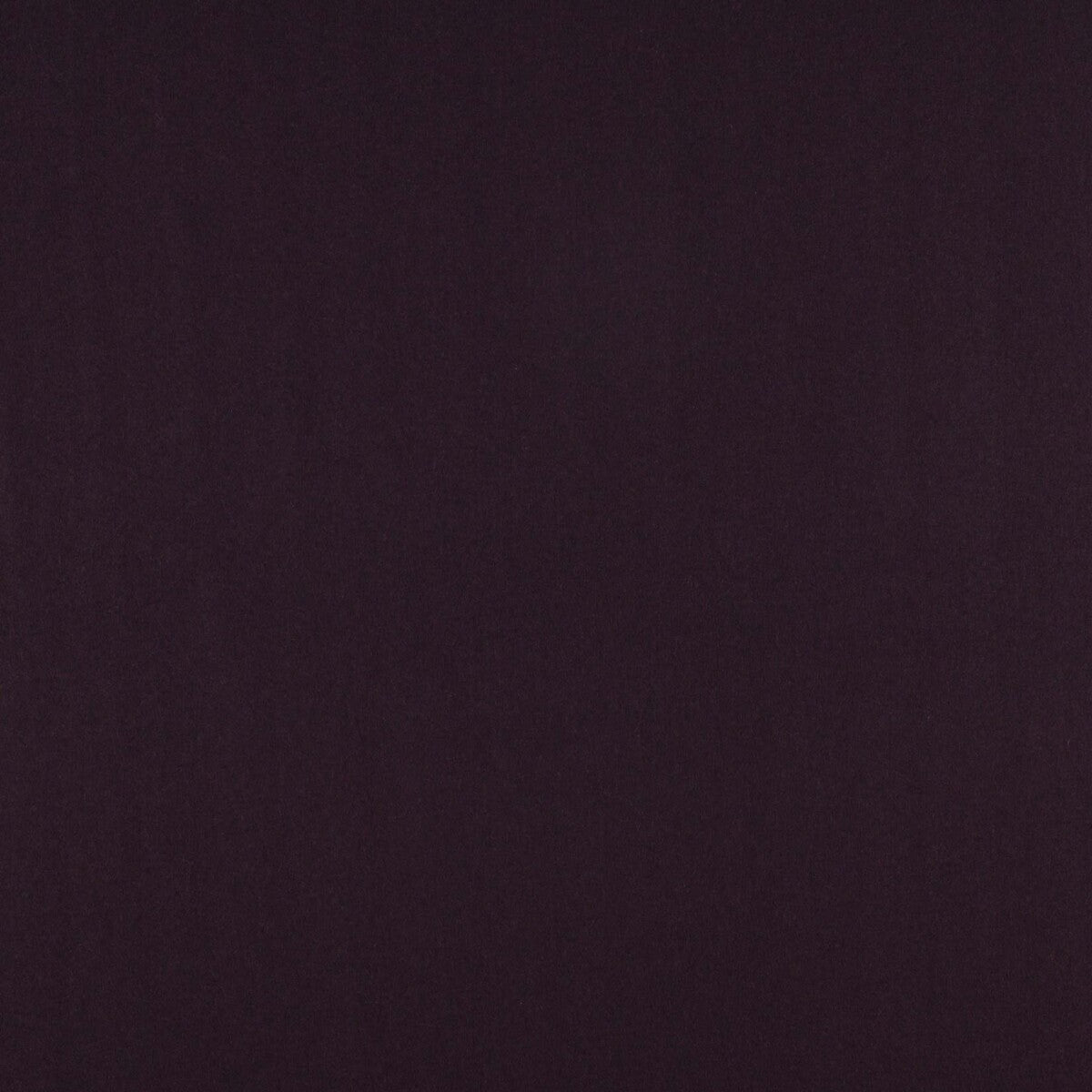 GASTON Y DANIELA WAYNE BERENJENA