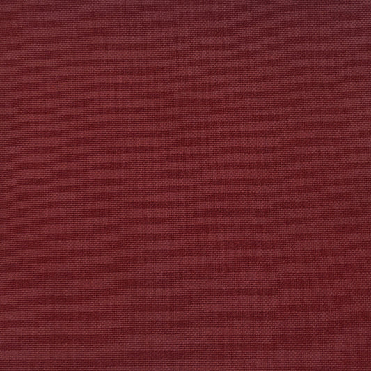 GASTON Y DANIELA PALMA PETUNIA