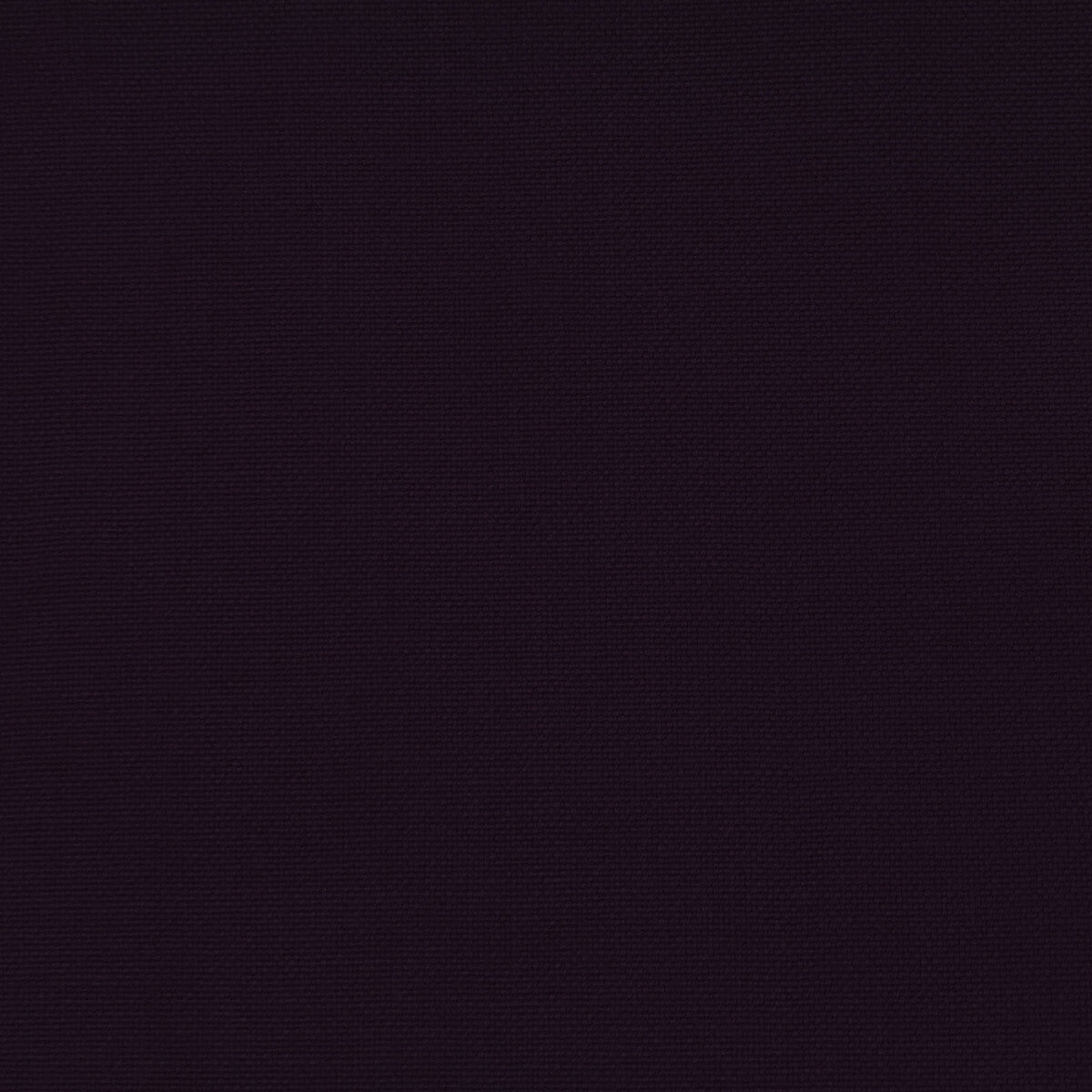 GASTON Y DANIELA PALMA BERENJENA