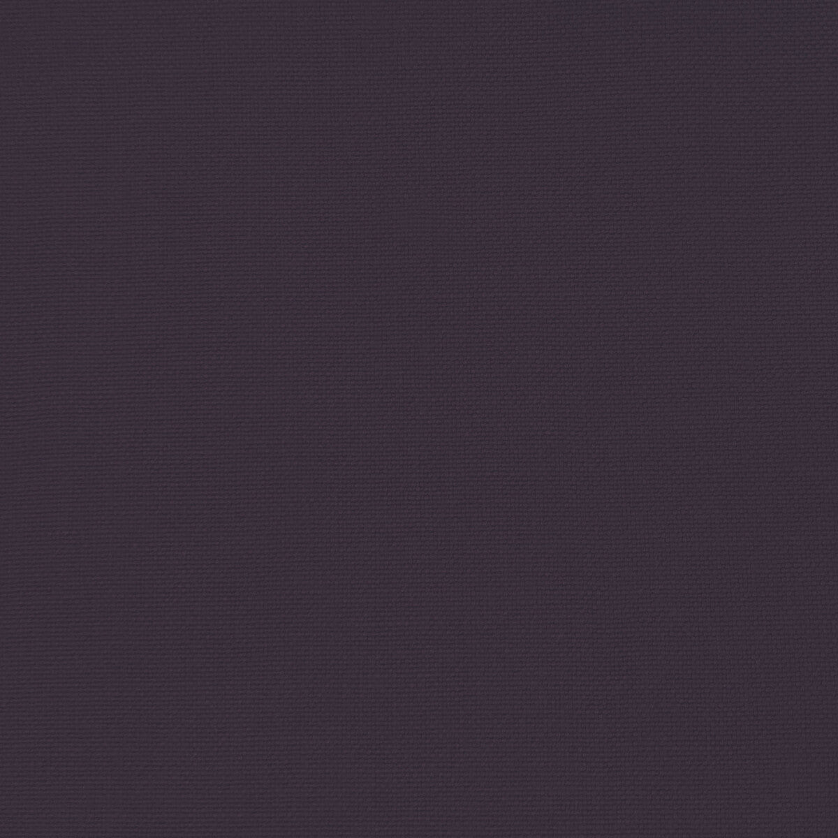 GASTON Y DANIELA PALMA UVA