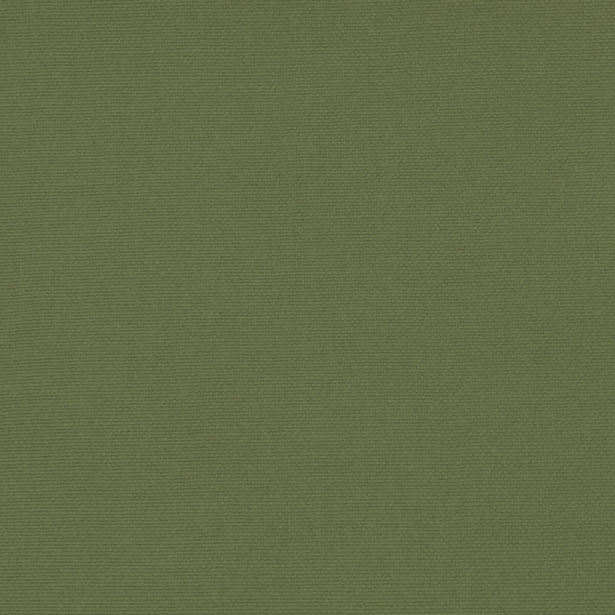 GASTON Y DANIELA PALMA VERDE AGUA