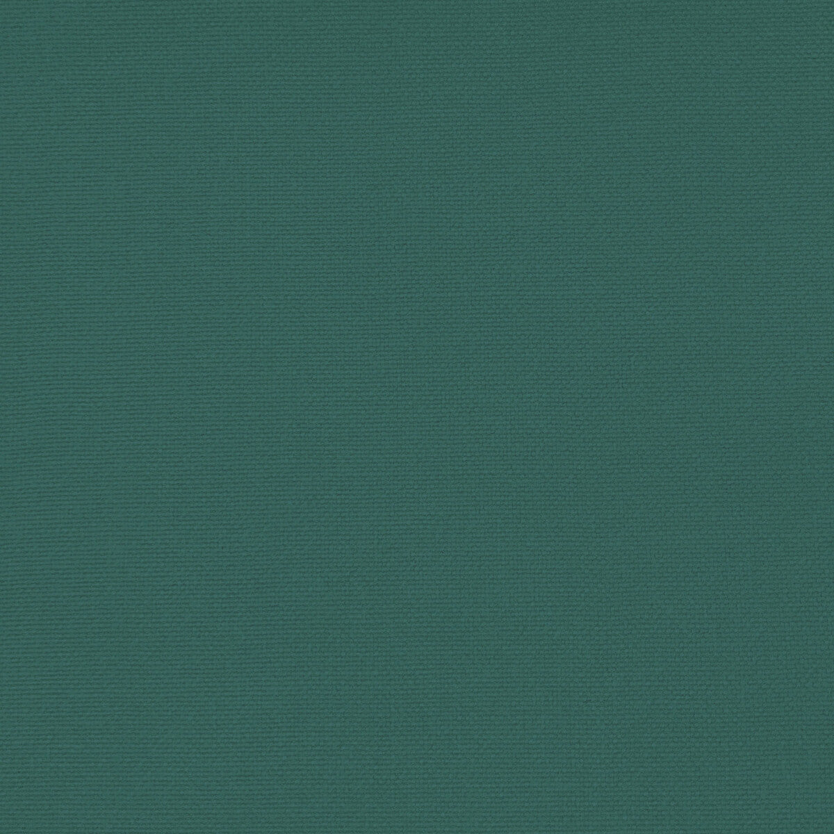 GASTON Y DANIELA PALMA TURQUESA