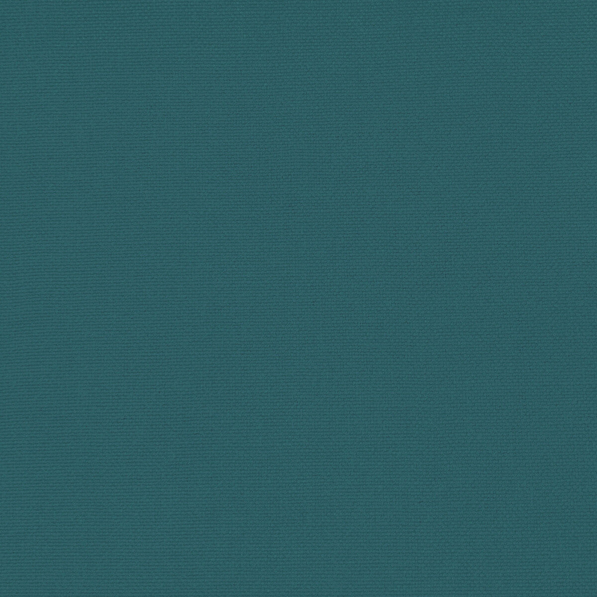 GASTON Y DANIELA PALMA PAVO REAL