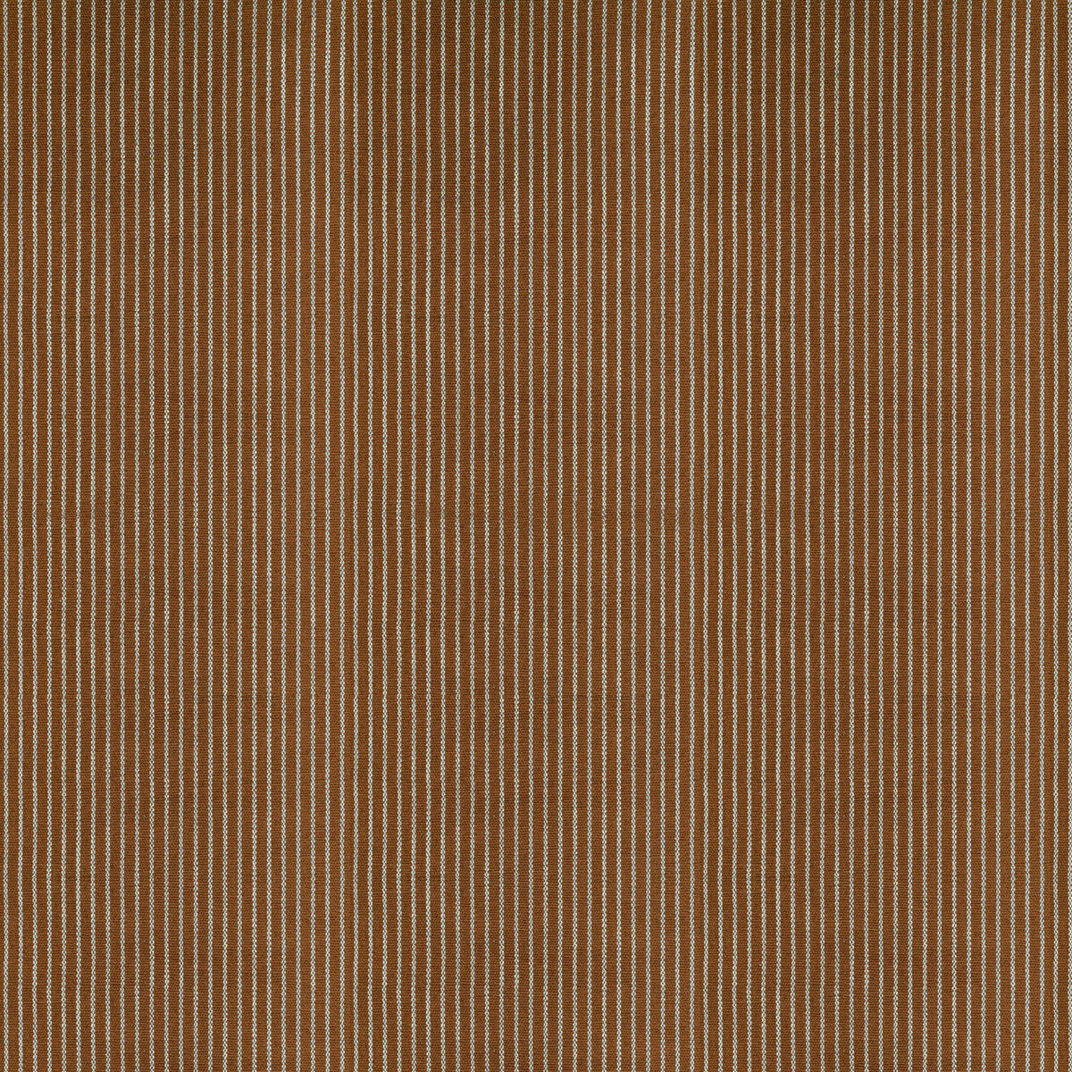 GASTON Y DANIELA EGEO CALABAZA