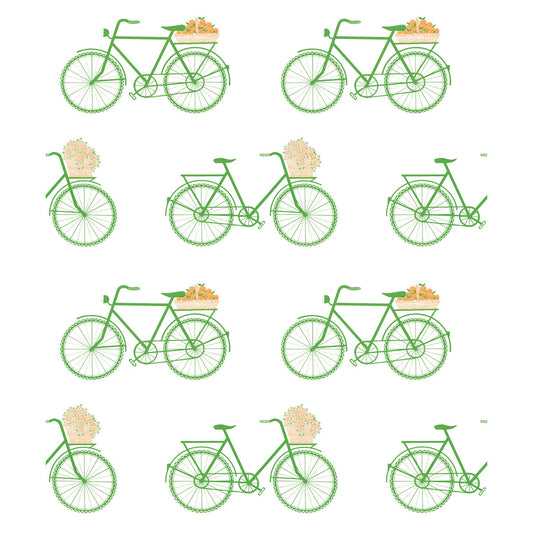 GASTON Y DANIELA BICICLETAS VERDE