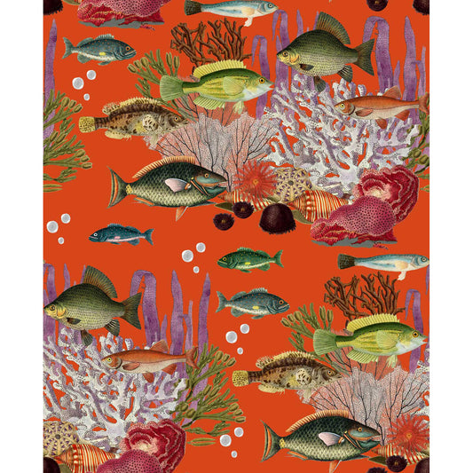 GASTON Y DANIELA CORALES QUISQUILLA