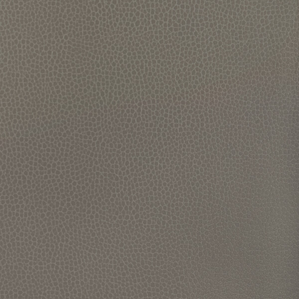 KRAVET DESIGN KRAVET DESIGN GILLIAN-121