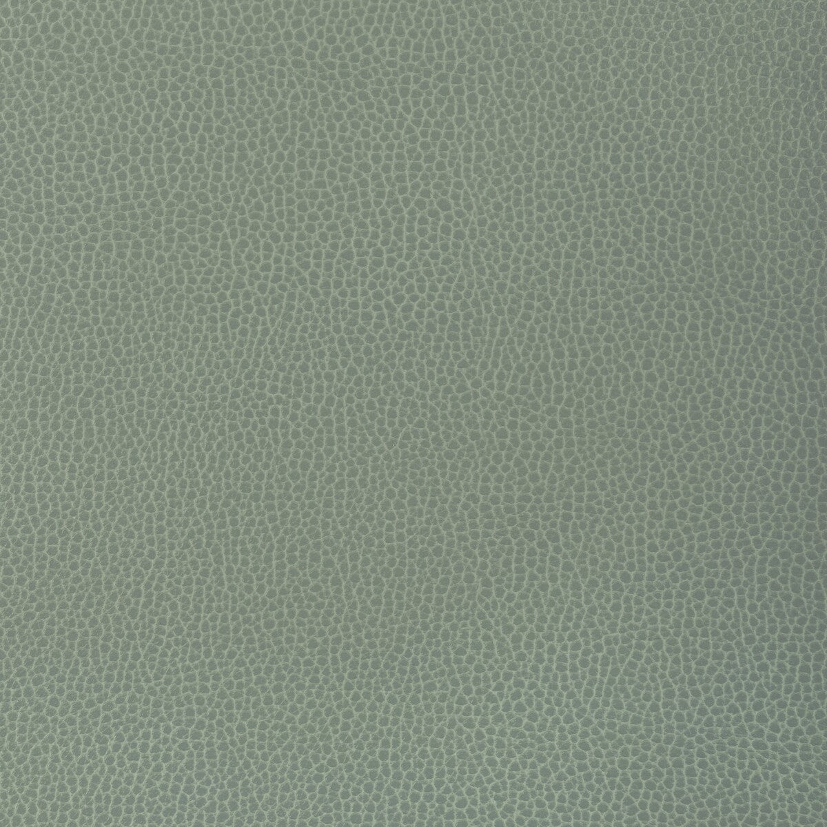 KRAVET DESIGN KRAVET DESIGN GILLIAN-1313