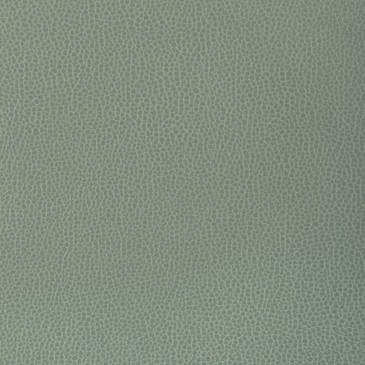 KRAVET DESIGN KRAVET DESIGN GILLIAN-1313