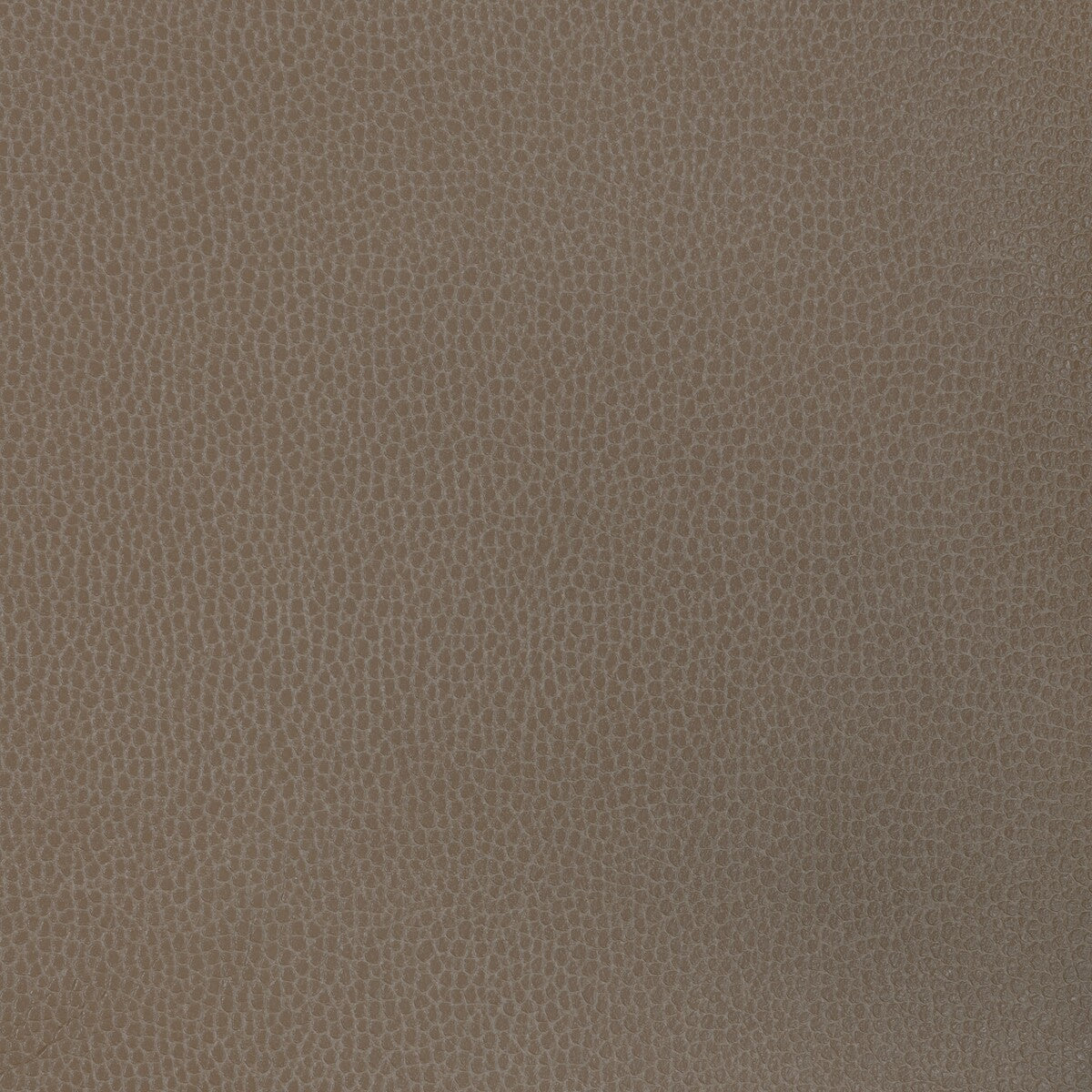 KRAVET DESIGN KRAVET DESIGN GILLIAN-1611