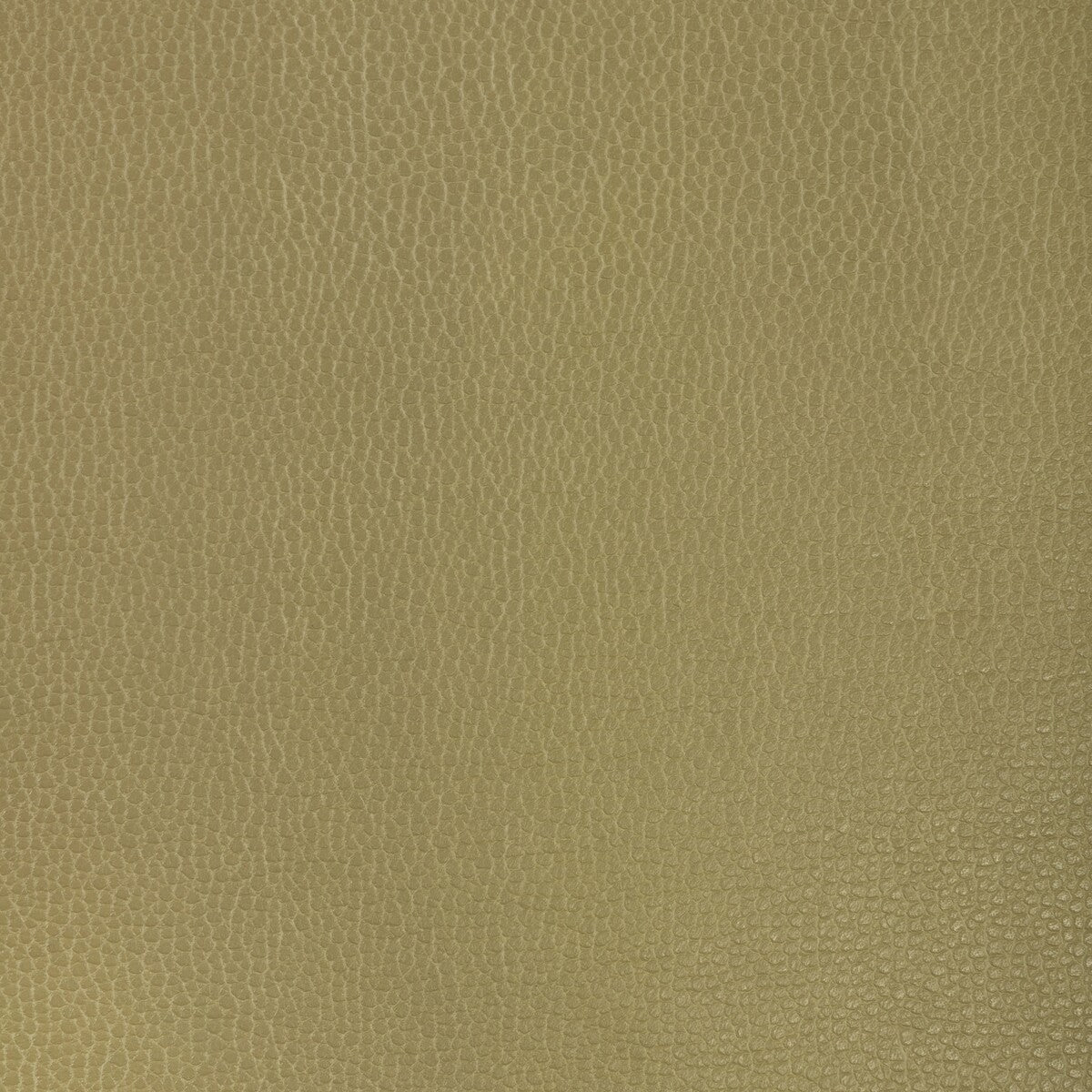 KRAVET DESIGN KRAVET DESIGN GILLIAN-23