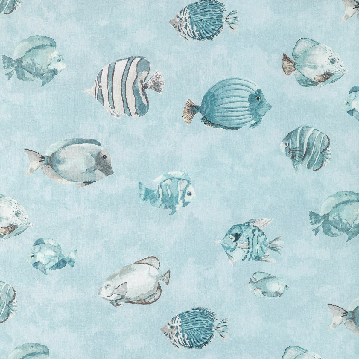 KRAVET DESIGN GREAT REEF SURF