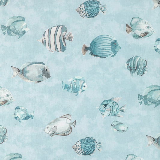 KRAVET DESIGN GREAT REEF SURF