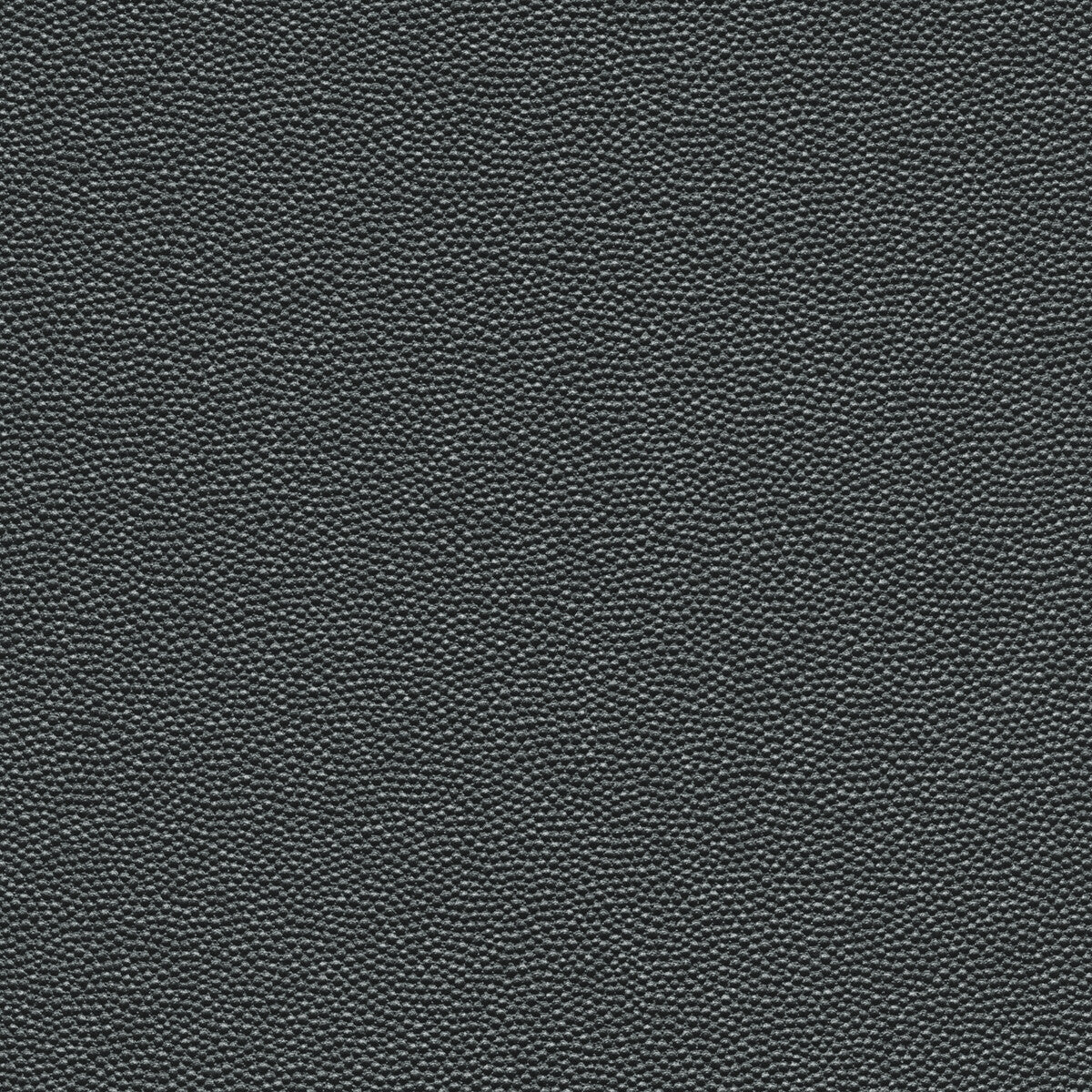 KRAVET DESIGN KRAVET DESIGN HAMMER-21