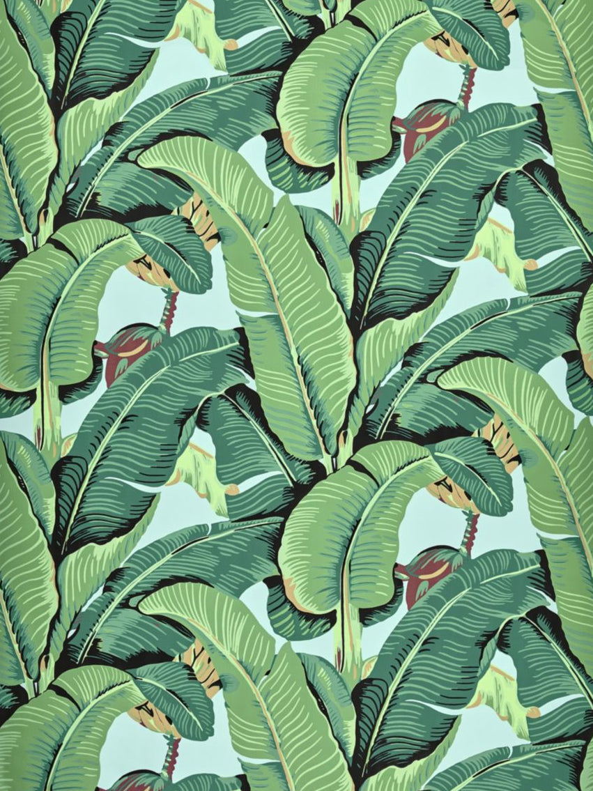 Scalamandre: Hinson Palm WHN 44000 0002 in Sky