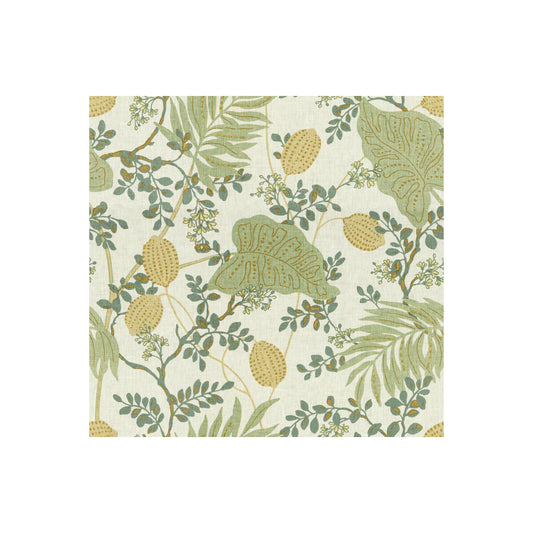KRAVET DESIGN INDAGE ALOE