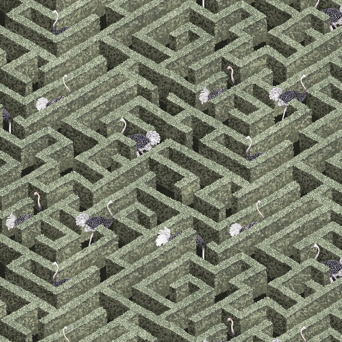 KRAVET COUTURE LABYRINTH WITH OSTRICHES 01