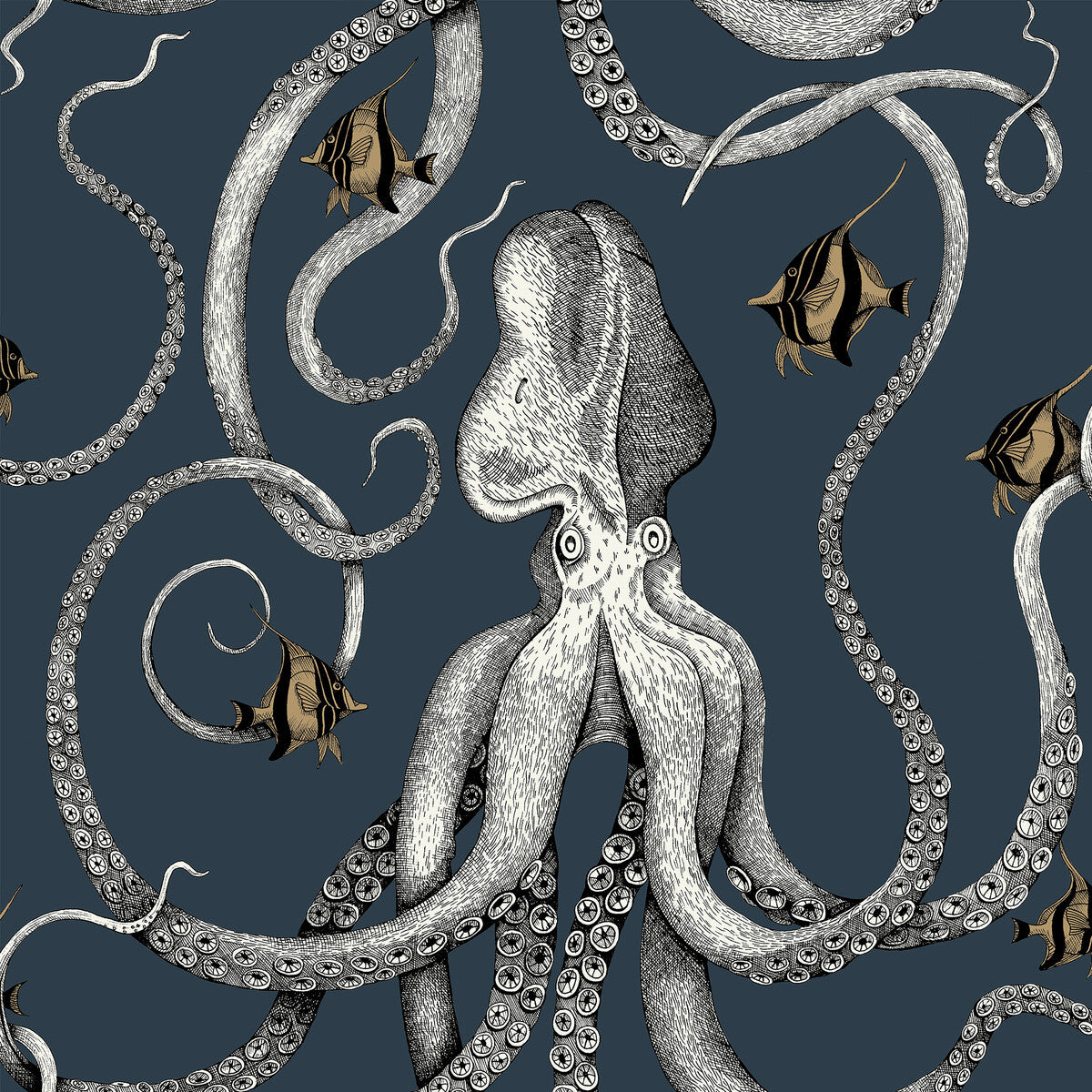 KRAVET COUTURE OCTOPODA GRAND 01