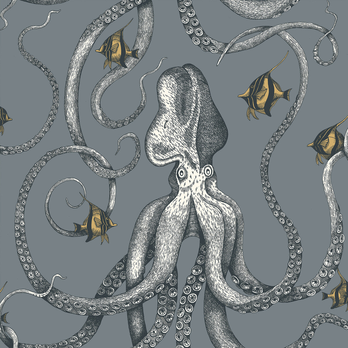 KRAVET COUTURE OCTOPODA GRAND 11