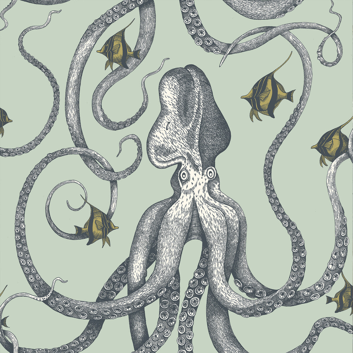 KRAVET COUTURE OCTOPODA GRAND 21