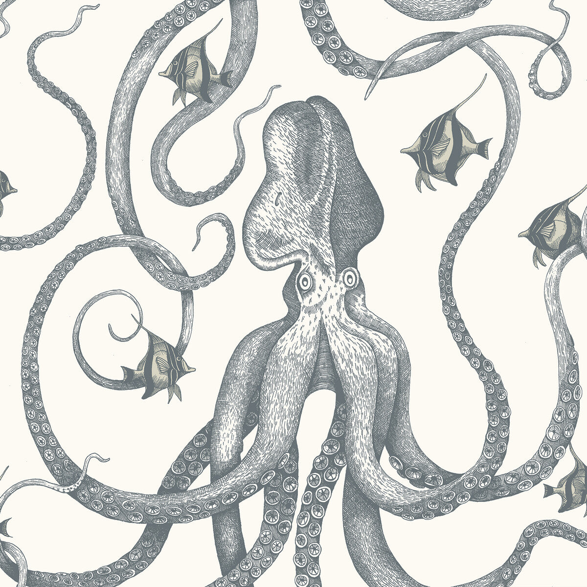 KRAVET COUTURE OCTOPODA GRAND 31
