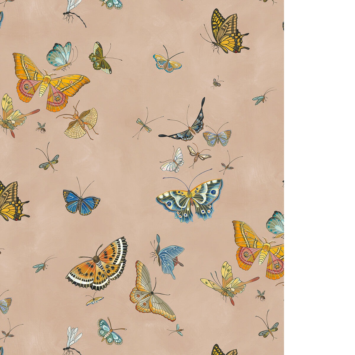 KRAVET COUTURE BUTTERFLIES 01