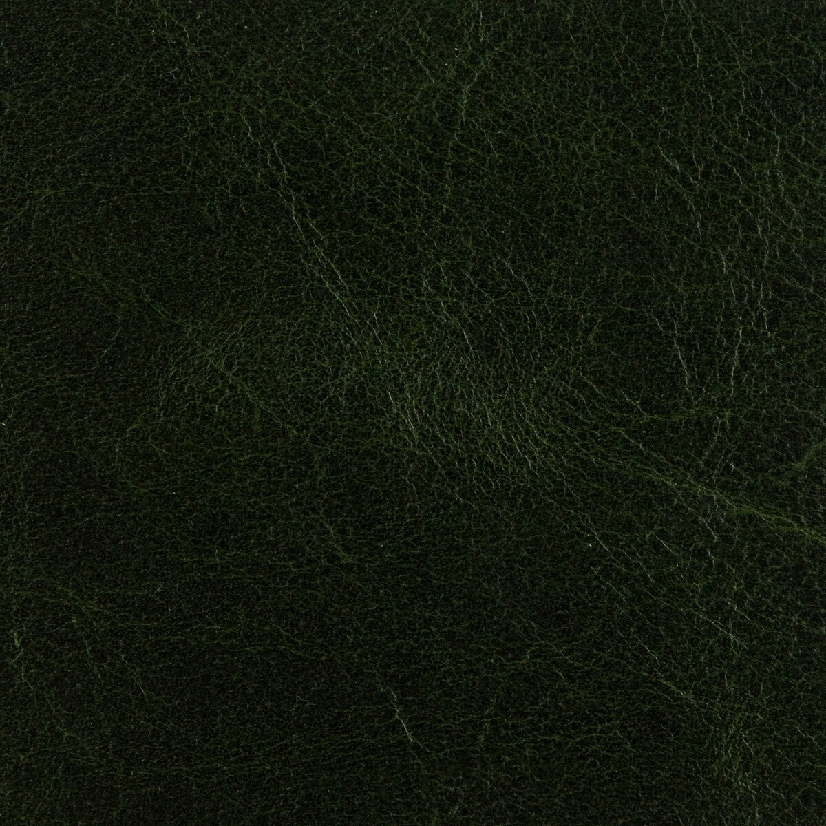 KRAVET DESIGN L-ARIZONA FOREST