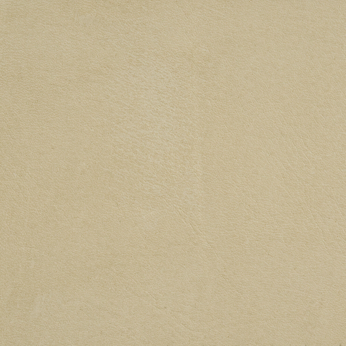 KRAVET DESIGN L-ARIZONA PUTTY