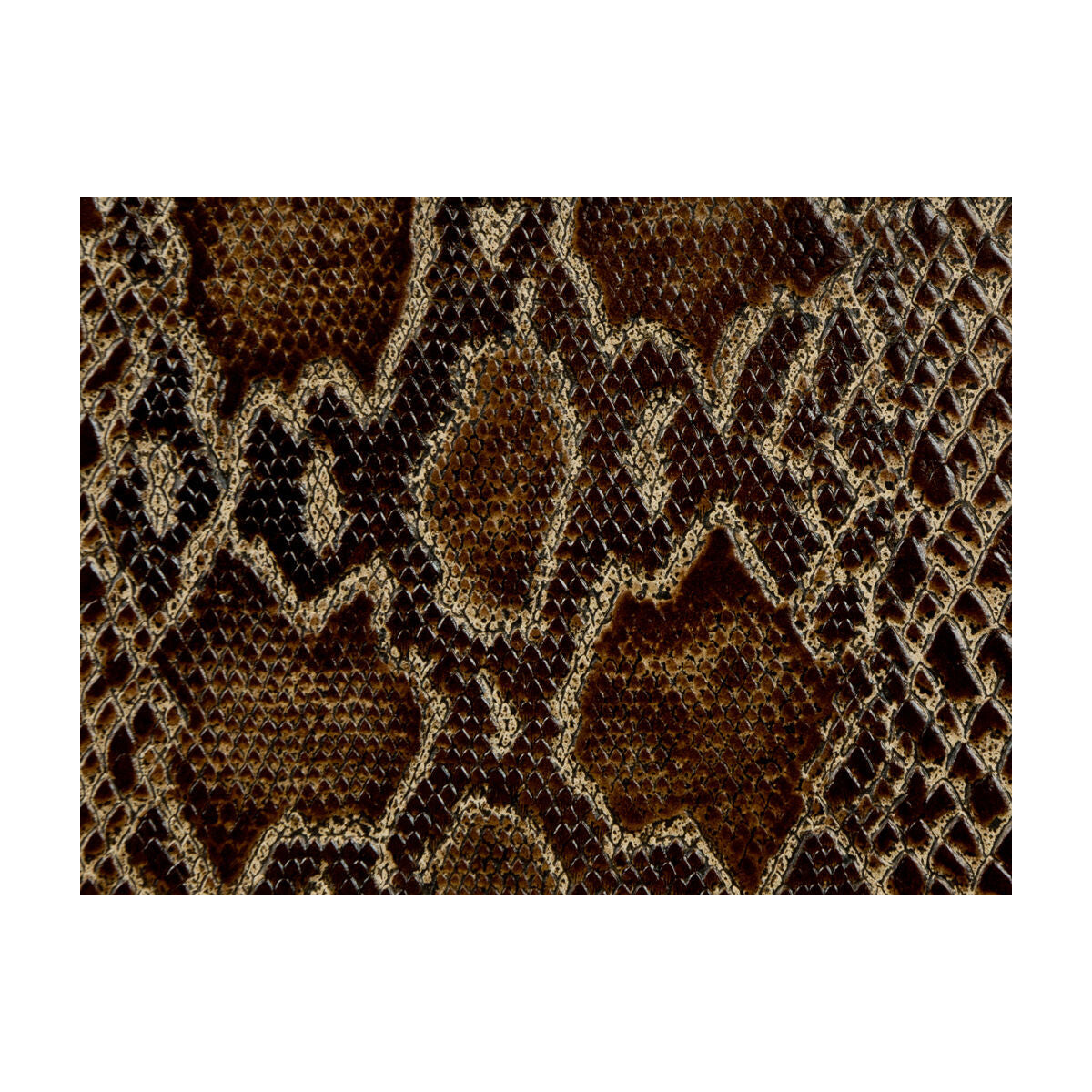 KRAVET COUTURE ATHENS TORTOISE