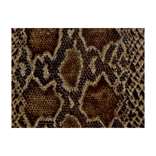 KRAVET COUTURE ATHENS TORTOISE