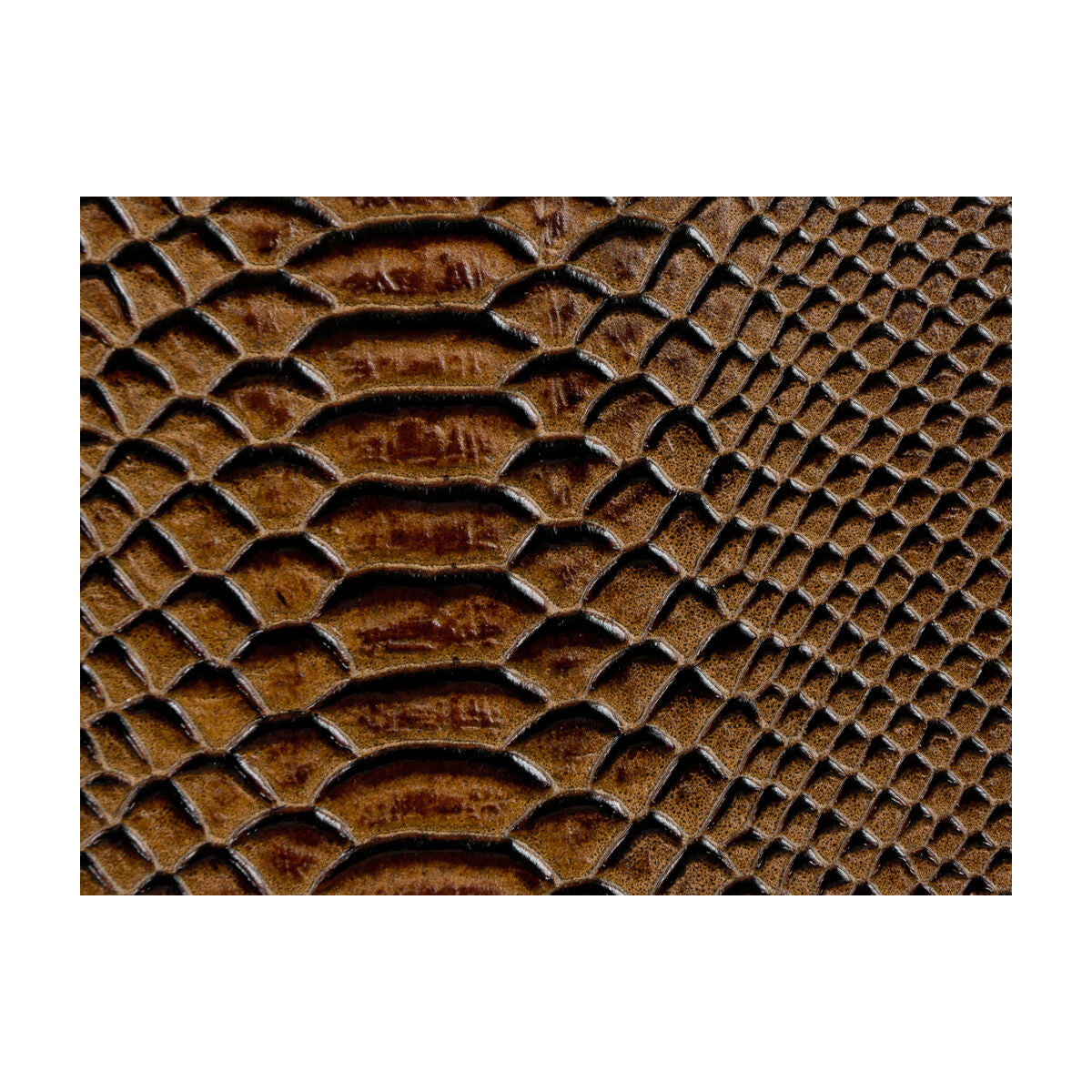 KRAVET COUTURE L-BERLIN TOAST
