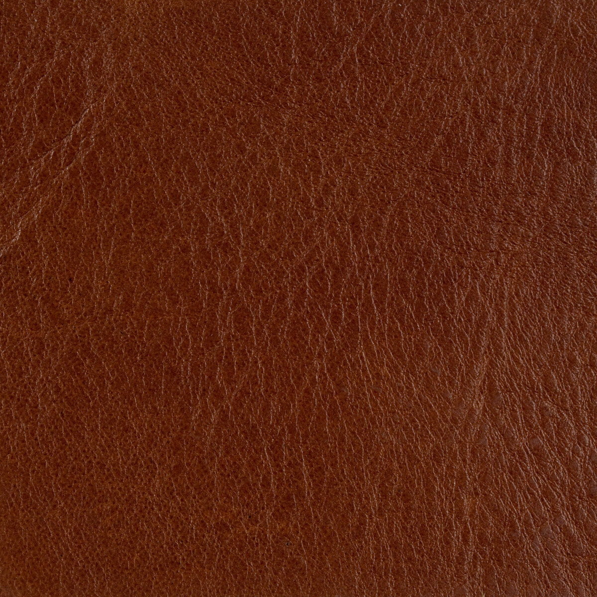 KRAVET COUTURE KRAVET COUTURE L-BROCKWAY-COCOA