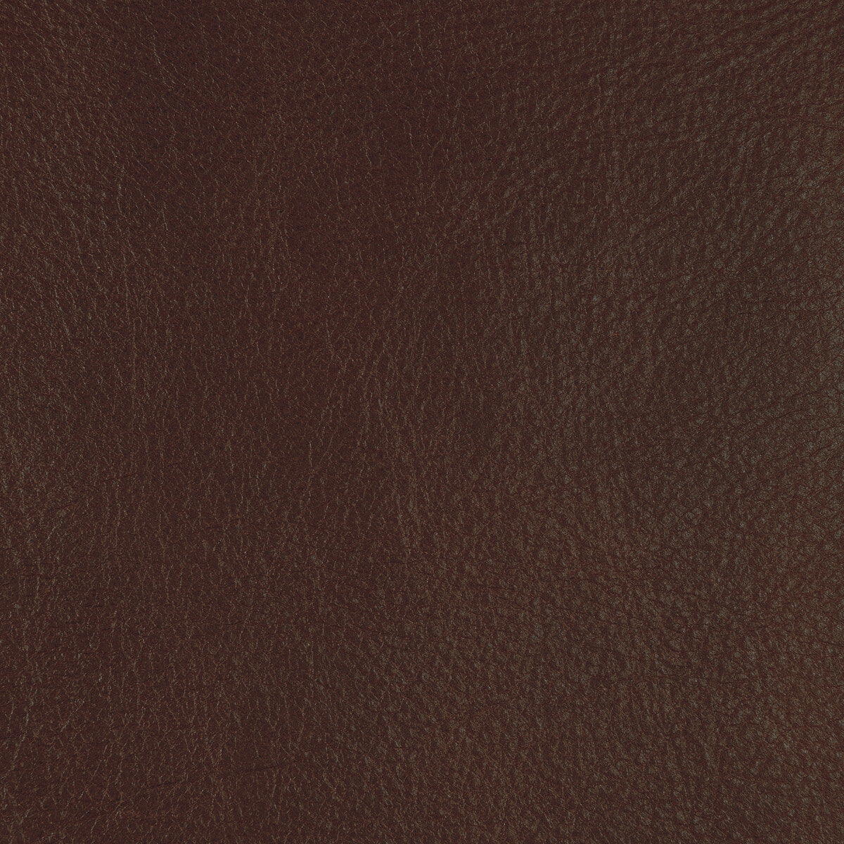 KRAVET DESIGN KRAVET DESIGN L-CANNON-HICKORY