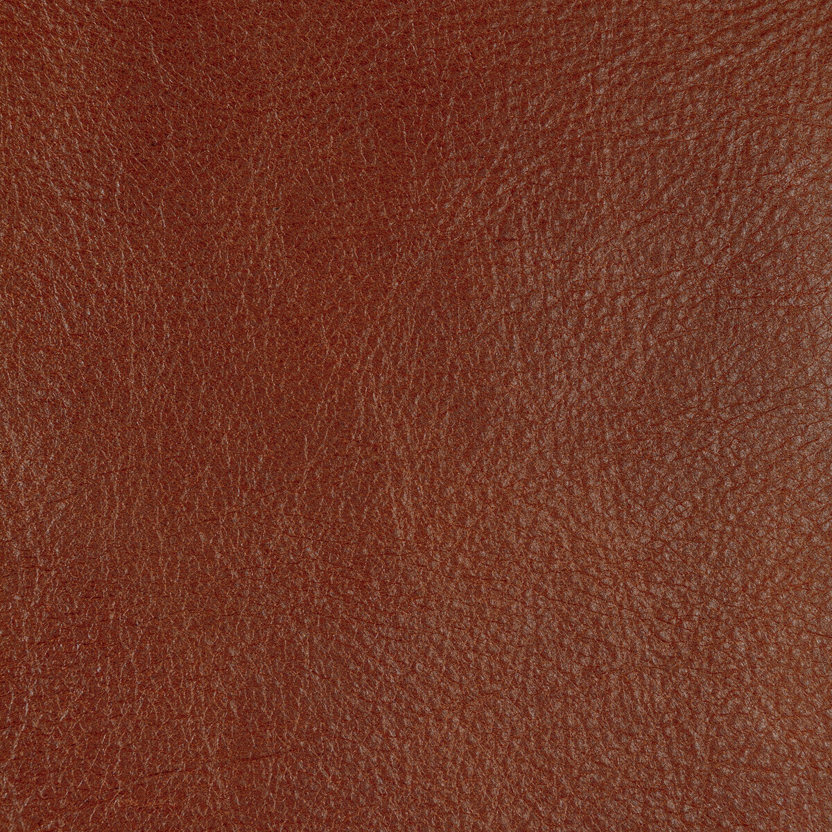 KRAVET DESIGN KRAVET DESIGN L-CANNON-SIENNA
