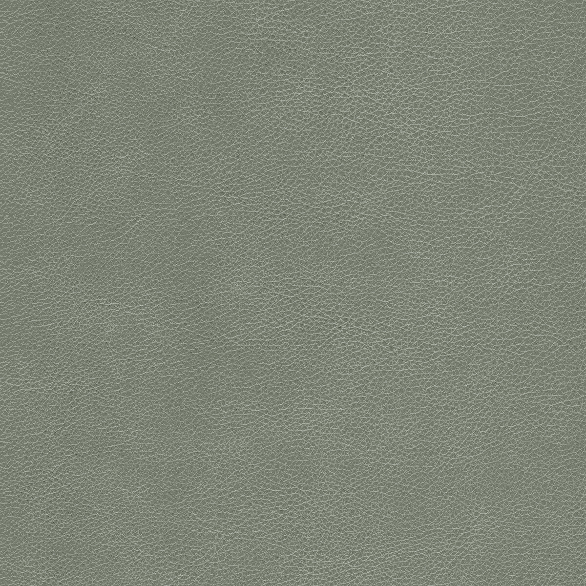 KRAVET DESIGN KRAVET DESIGN L-CIMARRON-ELEPHANT