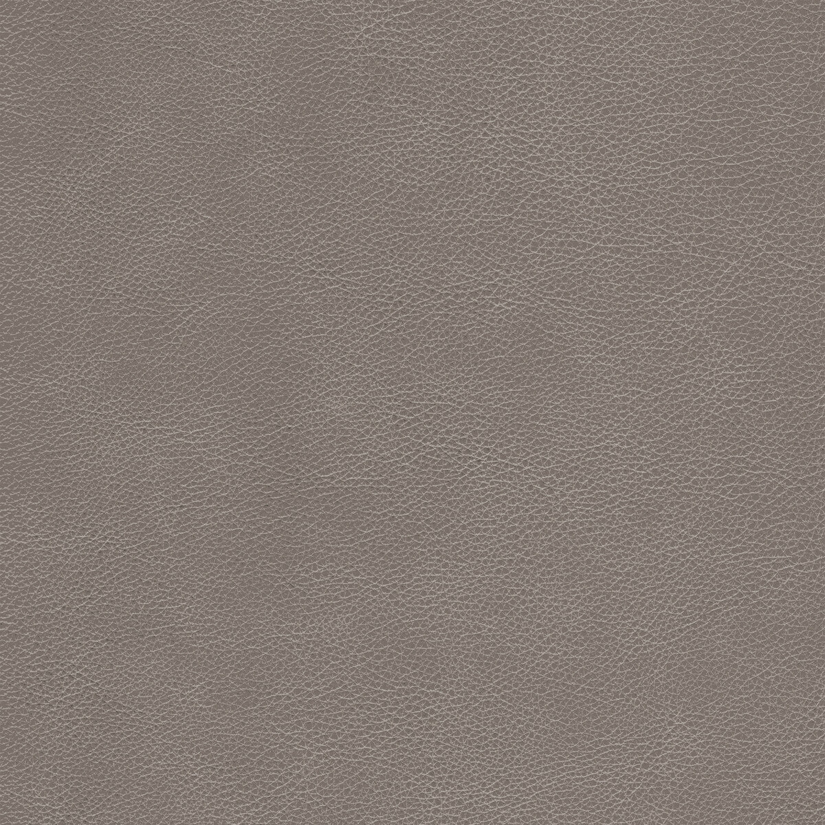 KRAVET DESIGN KRAVET DESIGN L-CIMARRON-FAWN